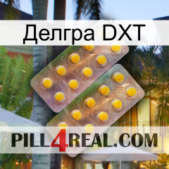 Делгра DXT new10